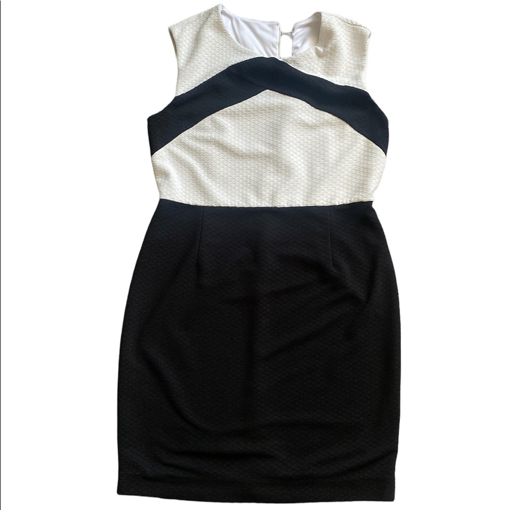 Calvin Klein color block dress